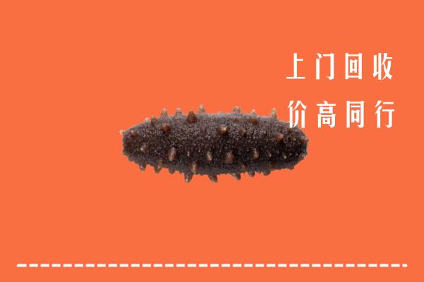 高价求购：玉溪回收海参
